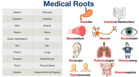 what is me in medical terms.